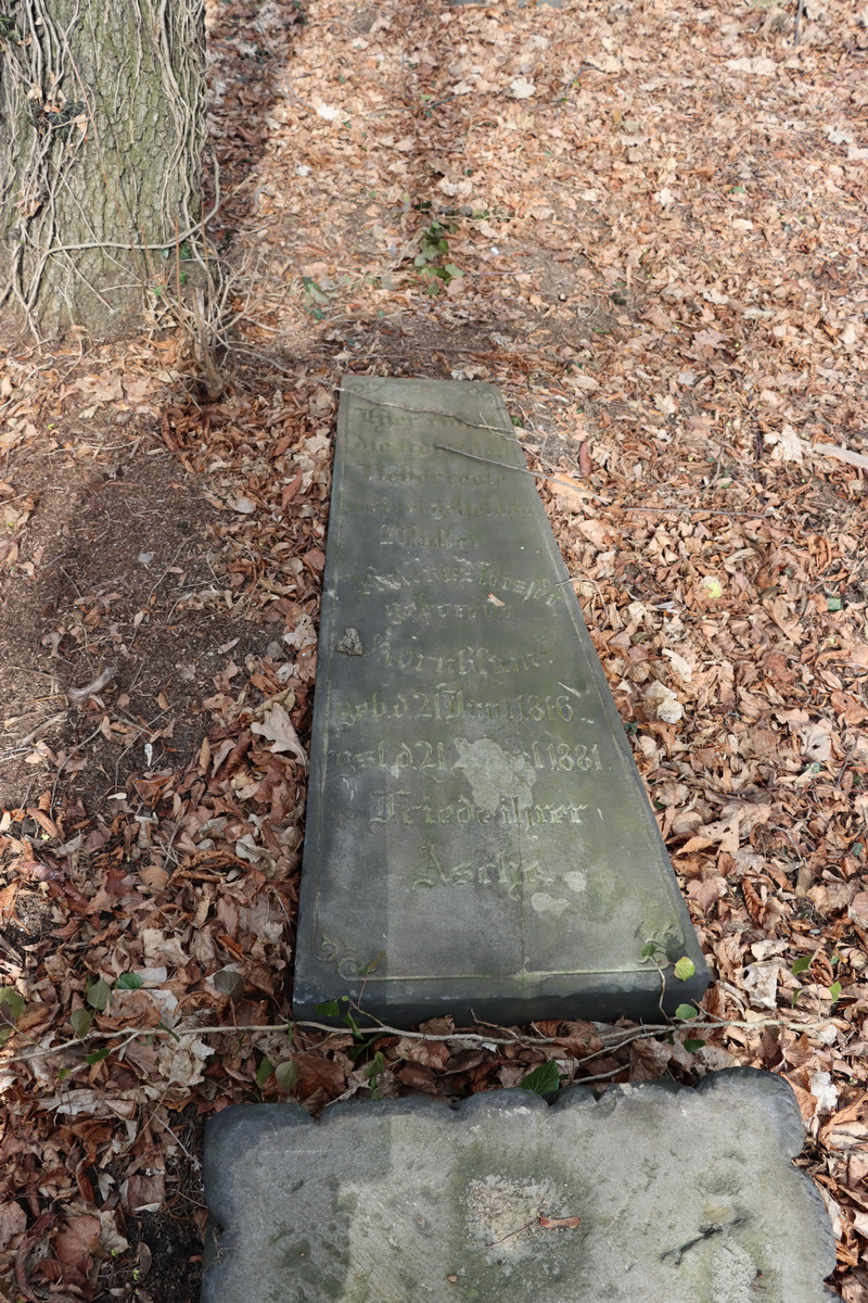 jewish cemeteries Mikołów