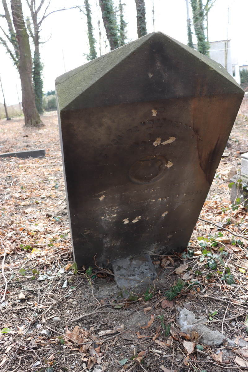jewish cemeteries Mikołów