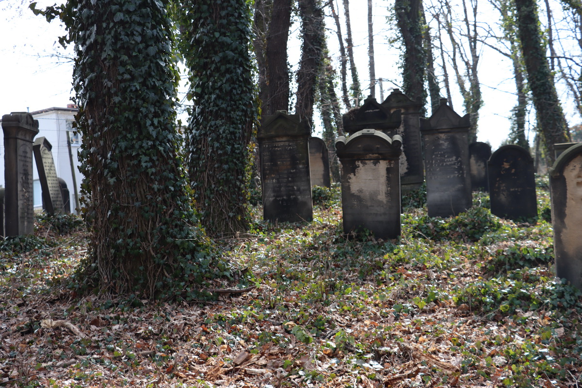 jewish cemeteries Mikołów